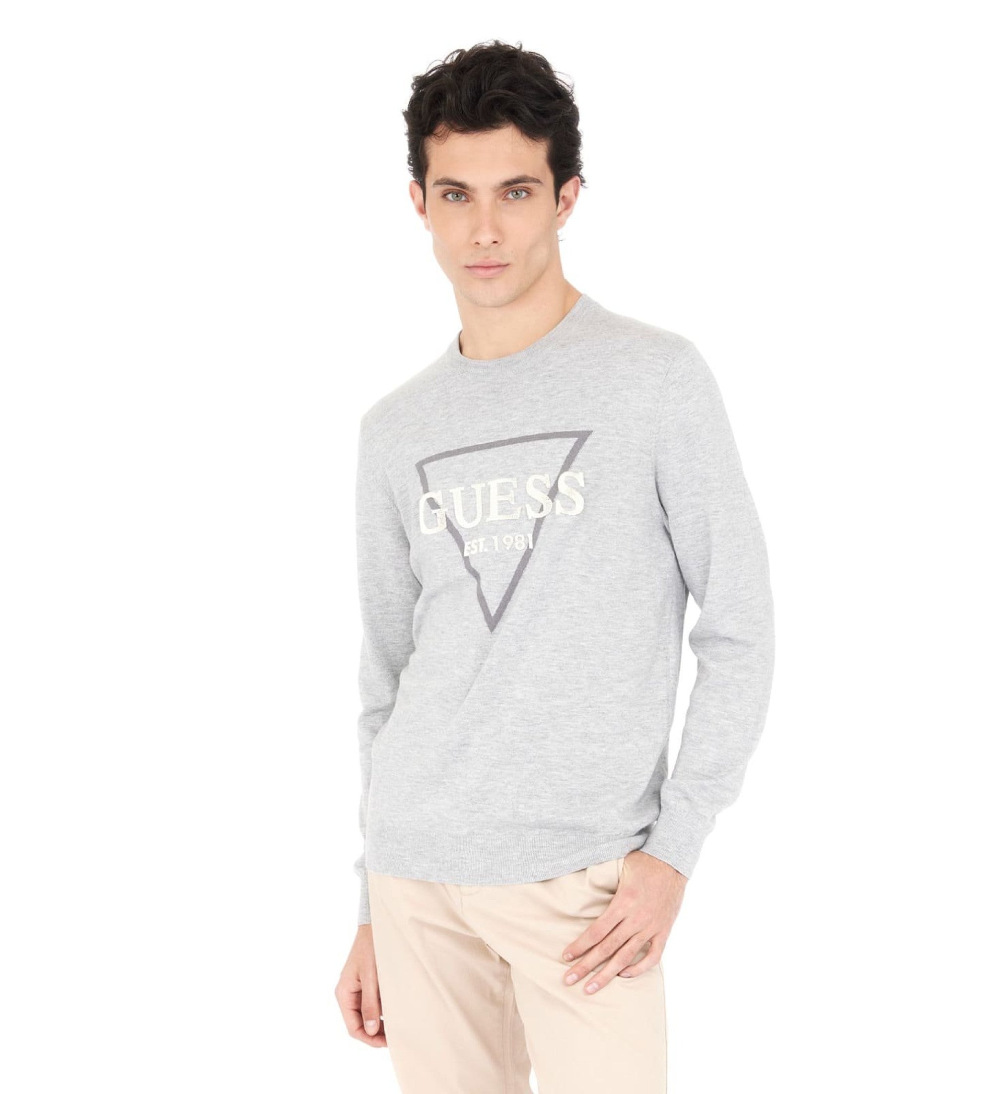 GUESS FABIAN JERSEY REGULAR FIT GRIS