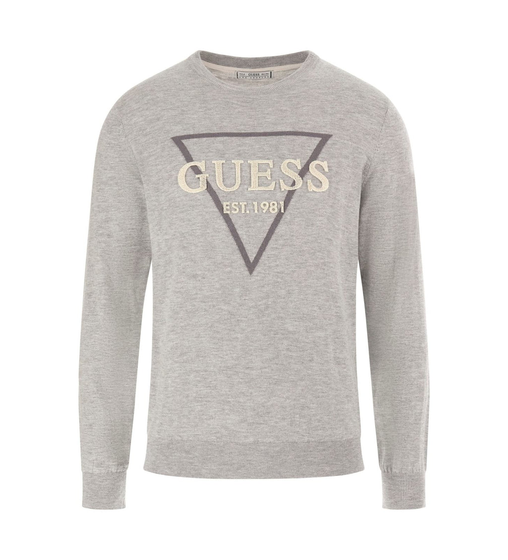 GUESS FABIAN JERSEY REGULAR FIT GRIS